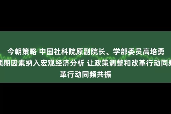 今朝策略 中国社科院原副院长、学部委员高培勇：将预期因素纳入宏观经济分析 让政策调整和改革行动同频共振