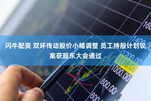 闪牛配资 双环传动股价小幅调整 员工持股计划议案获股东大会通过