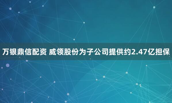 万银鼎信配资 威领股份为子公司提供约2.47亿担保