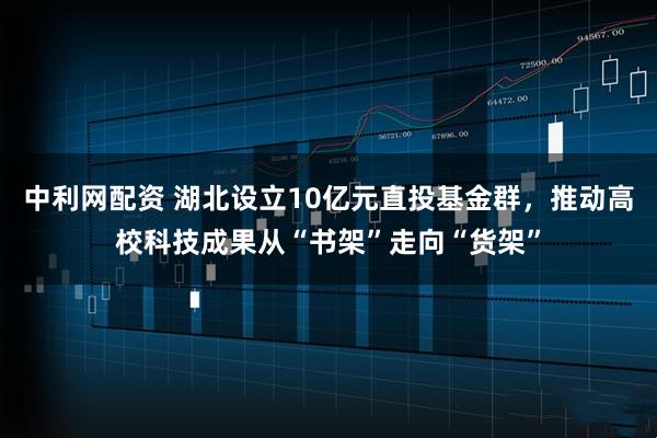 中利网配资 湖北设立10亿元直投基金群，推动高校科技成果从“书架”走向“货架”