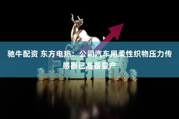 驰牛配资 东方电热：公司汽车用柔性织物压力传感器已准备量产