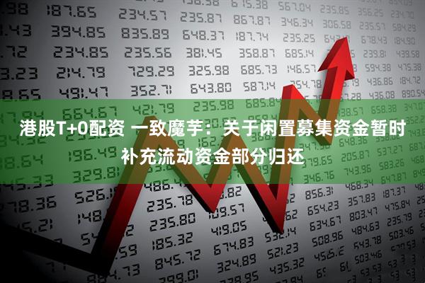 港股T+0配资 一致魔芋：关于闲置募集资金暂时补充流动资金部分归还